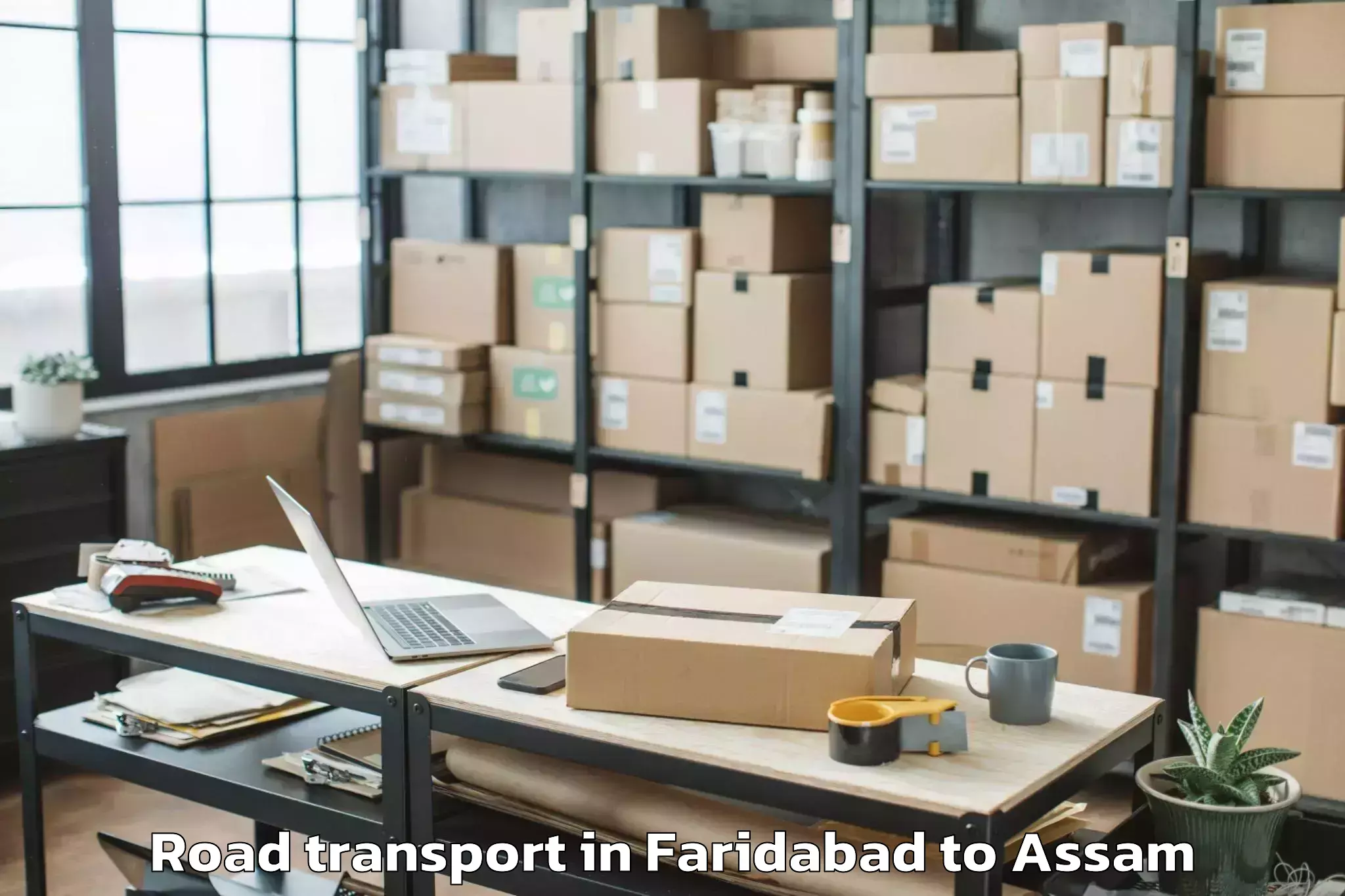 Hassle-Free Faridabad to Goshaingaon Road Transport